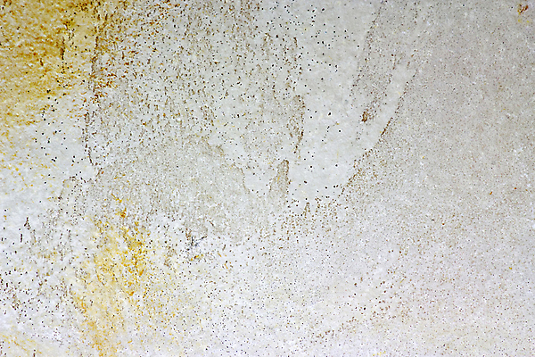 포토 JPG 해외이미지 외관 모래 벽 백그라운드 패턴 건축양식 자연 벽지 주택 프레임 사람없음 갈색 블록 거친 닫기 묘사 질감 사암 내추럴 고체 해외202004 해외포토 건축 컬러 무늬 모션 건물 돌_바위 생태계 파일형식 이미지허브