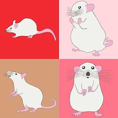 EPS 해외이미지 클립아트 동물 구름 전통 배너 꽃 실루엣 아시아 종이 패턴 일러스트 텍스트 휴가 이벤트 타이포그라피 장식 빨간색 세트 파티 일본 축제 중국 수확 축하 황금 플랫 쥐 인쇄 심볼 꼬리 윤곽 손그림 해피뉴이어 고립 엘리먼트 해외202004 해외일러스트 자연요소 식물 문자 나라 컬러 컨셉 무늬 농업 촬영기법 새해인사 설치류 파일형식 벡터 이미지허브