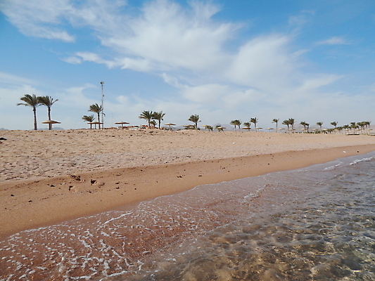 포토 JPG 해외이미지 모래 바다 여행 의자 아프리카 자연 하늘 호텔 휴가 이집트 손바닥 사람없음 야외 빨간색 물 파란색 고급 휴양지 해외202004 해외포토 자연요소 손 나라 컬러 가구 컨셉 숙소 장소 생태계 파일형식 이미지허브