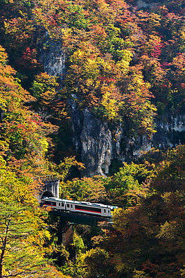 포토 JPG 해외이미지 주간 단풍 풍경 사람없음 야외 골짜기 기차 가을 터널 전경 해외202004 해외포토 자연요소 계절 길 육상교통 잎 자연 대중교통 파일형식 탑뷰 이미지허브