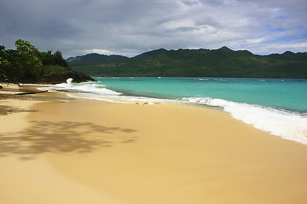 포토 JPG 해외이미지 나무 모래 파도 바다 섬 여행 자연 하늘 손바닥 풍경 사람없음 야외 물 여름 파란색 모래사장 기댐 만 보트 산호 떨어짐 암초 코코넛 대서양 석호 공화국 이국적 터키석 파라다이스 해외202004 해외포토 자연요소 식물 손 계절 나라 컬러 컨셉 배_교통 과일 모션 자포동물 보석 생태계 파일형식 이미지허브