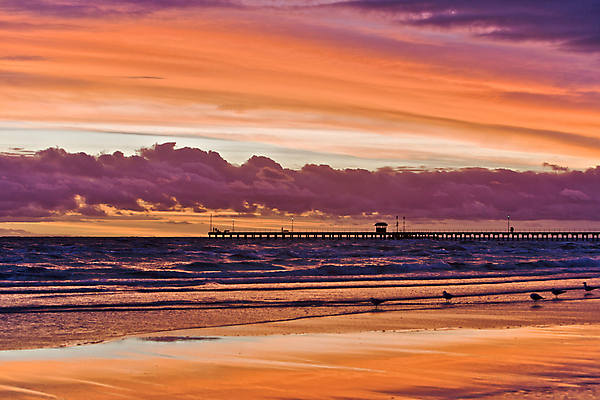 포토 JPG 해외이미지 구름 실루엣 호수 파도 바다 여행 백그라운드 오렌지 자연 조류 하늘 휴가 휴식 풍경 사람없음 물 여름 숫자 반사 평화 일출 항구 보라색 침묵 일몰 새벽 만 보트 저녁 장면 태평양 포트 이국적 수평선 해외202004 해외포토 자연요소 동물 문자 계절 컬러 컨셉 배_교통 과일 교통시설 촬영기법 노을 소리 야간 생태계 파일형식 이미지허브