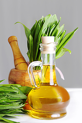 포토 JPG 해외이미지 음식 잎 재료 마늘 요리 사람없음 초록색 주방 침묵 회색 흰색 기구 신선 상품 다발 준비 고립 막자 해외202004 해외포토 식물 컬러 채소 소리 파일형식 이미지허브