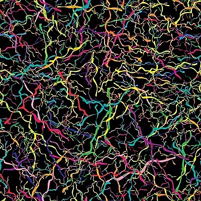 EPS 해외이미지 배너 포스터 선 파도 백그라운드 패턴 오렌지 일러스트 벽지 추상 프레임 미술 그래픽 장식 빨간색 초록색 파란색 빛 컬러풀 보라색 웹 공백 블록 수확 신용카드 발표 잡지 묘사 복고 모자이크 시들음 직사각형 구성 대칭 섞기 엘리먼트 왜곡 테크노 해외202004 해외일러스트 도형 바다 컬러 무늬 농업 인터넷 과일 문화예술 간행물 금융 파일형식 벡터 이미지허브