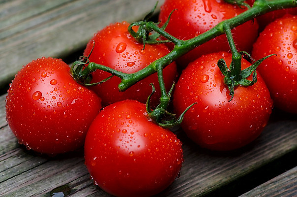 포토 JPG 해외이미지 음식 줄기 백그라운드 컨셉 패턴 토마토 채소 과일 재료 부분 자연 탁자 아이디어 프레임 실내 건강 사람없음 빨간색 초록색 빛 젖음 신선 체리 그룹 큼 먹기 가득함 오브젝트 유기농 날것 슛 흙더미 숙성 채식주의자 해외202004 해외포토 식물 웰빙 컬러 가구 무늬 모션 내부 흙 크기 생태계 채식 파일형식 더미 이미지허브