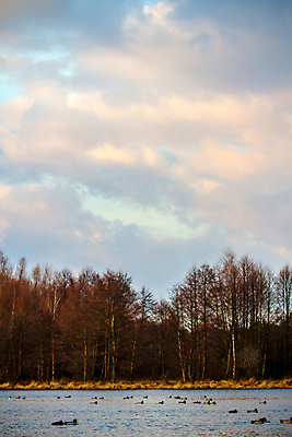 포토 JPG 해외이미지 나무 식물 구름 계절 공원 백그라운드 잎 자연 하늘 날씨 풍경 잔디 사람없음 야외 목재 초록색 여름 파란색 빛 컬러풀 햇빛 태양 우주 환경 정원 맑음 침묵 봄 성장 흰색 시골 숲 땅 장면 내추럴 생태학 수평선 해외202004 해외포토 자연요소 공공시설 교육 컬러 재료 소리 생태계 파일형식 이미지허브