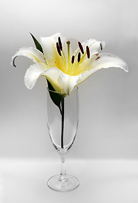 포토 JPG 해외이미지 식물 전통 꽃잎 꽃 문화 음료 잎 다이어트 유리 휴식 건강 손잡이 사람없음 초록색 물 갈색 벚꽃 기구 투명 액체 붓기 백합 허브 가득함 싱글 상쾌 향기 아로마테라피 이국적 해외202004 해외포토 자연요소 감정 컬러 컨셉 모션 재질 냄새 테라피 파일형식 이미지허브