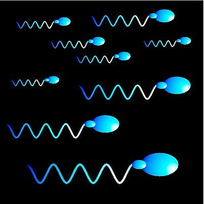 EPS 해외이미지 과학 일러스트 세포 현미경 씨앗 소녀 소년 빨간색 파란색 약 계란 임신 아기 액체 DNA 생명공학 분석 속도 생물학 염색체 짝짓기 바이오 복제 유전 해외202004 해외일러스트 식물 여자 교육 남자 어린이 컬러 컨셉 의학 실험기구 사람 알 파일형식 벡터 이미지허브