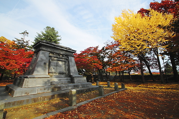 포토 JPG 해외이미지 나무 식물 계절 아시아 단풍 잎 자연 풍경 사람없음 야외 목재 컬러풀 노란색 일본 가을 역사 숲 해외202004 해외포토 나라 컬러 재료 생태계 파일형식 이미지허브