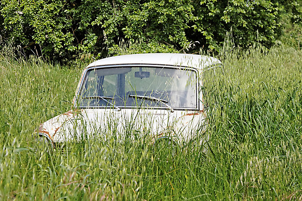 포토 JPG 해외이미지 교통시설 자동차 사람없음 초록색 금속 손상 수확 골동품 바퀴 폐기물 숲 버리기 부식 짐차 한조각 고립 깨짐 방치 옛날 자동 철강 해외202004 해외포토 1 육상교통 컬러 교통 컨셉 농업 모션 재질 쓰레기 시설 파일형식 이미지허브
