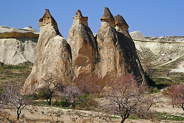 포토 JPG 해외이미지 나무 아시아 조각 여행 자연 하늘 바람 휴가 산 풍경 사람없음 파란색 놀람 바위 도시 정상 언덕 부식 타운 네비게이션 칠면조 내추럴 옛날 진짜 현무암 해외202004 해외포토 자연요소 식물 감정 나라 컬러 조류 날씨 표정 돌_바위 생태계 화산암 파일형식 이미지허브