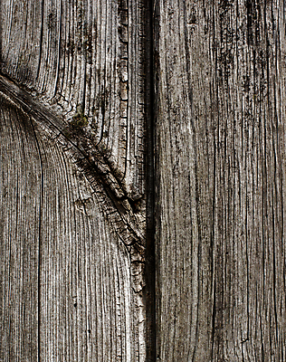 포토 JPG 해외이미지 벽 백그라운드 추상 사람없음 목재 울타리 검은색 페인트 손상 회색 얼룩 거친 널 질감 매듭 일렬 골절 수목 옛날 해외202004 해외포토 나무 컬러 컨셉 무늬 재료 의학 담장 파일형식 이미지허브