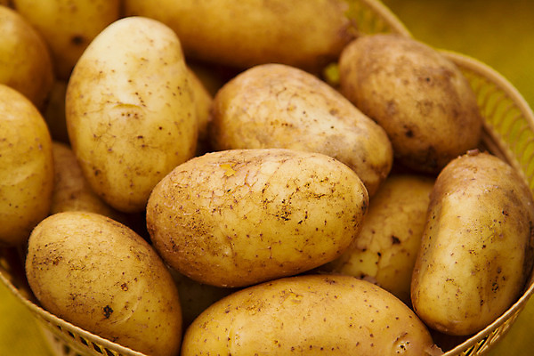 포토 JPG 해외이미지 음식 농업 채소 과일 감자 건강 사람없음 농장 갈색 노란색 수확 오브젝트 유기농 날것 뿌리 흙더미 채식주의자 해외202004 해외포토 웰빙 산업 컬러 흙 채식 파일형식 더미 이미지허브