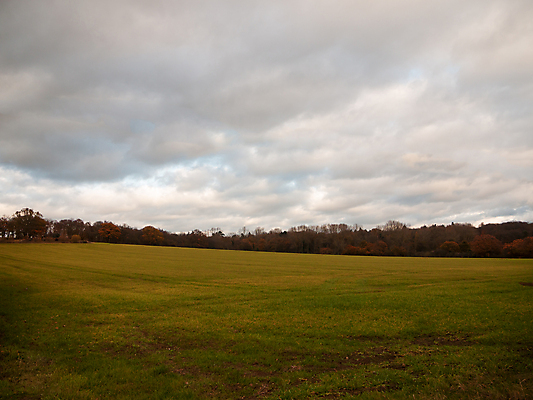 포토 JPG 해외이미지 나무 식물 구름 계절 음식 여행 백그라운드 밭 농업 자연 하늘 바람 날씨 풍경 사람없음 야외 초록색 여름 파란색 농장 농경지 노란색 환경 일몰 봄 가을 시골 신선 분위기 땅 장면 폭풍 밭일 평야 수평선 해외202004 해외포토 자연요소 산업 컬러 컨셉 노을 생태계 파일형식 이미지허브