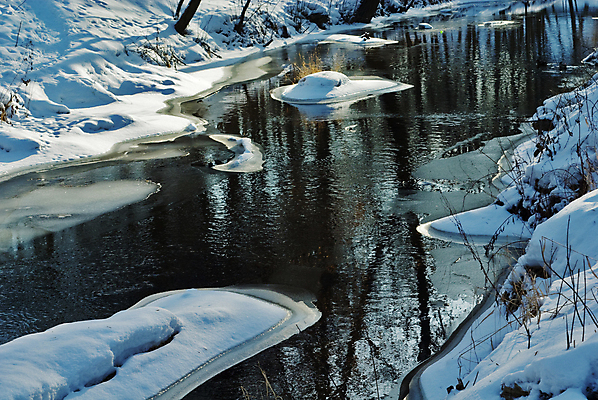 포토 JPG 해외이미지 나무 섬 여행 일러스트 자연 날씨 휴가 선물 풍경 사람없음 빛 강 태양 반사 갈색 침묵 봄 나뭇가지 센터 숲 작음 즐거움 만족 그림 생태학 톱밥 해외202004 해외포토 자연요소 식물 계절 교육 감정 컬러 소리 크기 가루 생태계 파일형식 이미지허브