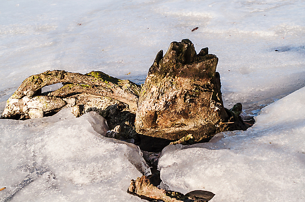 포토 JPG 해외이미지 나무 계절 공원 호수 백그라운드 겨울 자연 하늘 동화 날씨 이야기 풍경 사람없음 야외 물 파란색 빛 강 반사 맑음 냉동 얼음 침묵 추위 안개 흰색 나뭇가지 연못 소나무 개울 황무지 떨어짐 숲 시원함 12월 서리 엽서 장면 마법 내추럴 벌거벗은 폭설 해외202004 해외포토 자연요소 식물 공공시설 컬러 컨셉 눈_날씨 소리 날짜 자연재해 편지 생태계 파일형식 이미지허브