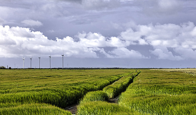 포토 JPG 해외이미지 구름 바다 하늘 바람 덴마크 풍경 사람없음 여름 햇빛 태양 반사 평화 환경 맑음 침묵 바위 생태학 스칸디나비아 해외202004 해외포토 자연요소 계절 교육 컨셉 날씨 북유럽 소리 돌_바위 파일형식 이미지허브