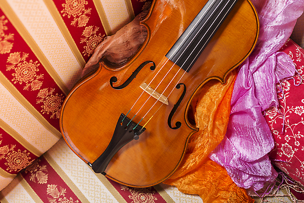 포토 JPG 해외이미지 전통 문화 줄 음악 백그라운드 기술 창조 미술 사람없음 목재 갈색 흰색 기구 끈 클래식 두루마리 가득함 바이올린 오브젝트 활 치수 프랑스어 고립 뮤지컬 옛날 표준 해외202004 해외포토 나무 문자 컬러 컨셉 재료 현악기 문화예술 파일형식 이미지허브