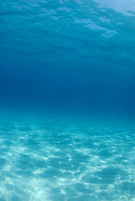 포토 JPG 해외이미지 물결 모래 바다 백그라운드 자연 사람없음 물 파란색 태양 반사 수중 다이빙 소금 대서양 바하마 소금물 침몰 해외202004 해외포토 자연요소 컬러 수영 생태계 수중스포츠 파일형식 이미지허브