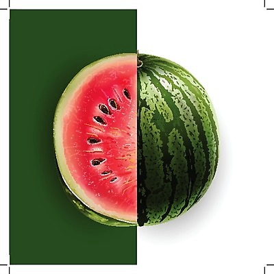 EPS 해외이미지 일러스트 단면 수박 사람없음 빨간색 초록색 반쪽 해외202004 해외일러스트 컬러 과일 파일형식 벡터 이미지허브