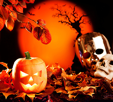 JPG 해외이미지 단풍 낙엽 호박 해골 사람없음 할로윈 오브젝트 잭오랜턴 해외202004 해외포토 포토 잎 채소 뼈 파일형식 이미지허브