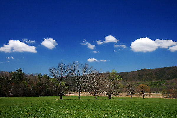 포토 JPG 해외이미지 나무 구름 계절 공원 지구 여행 잎 밭 자연 성공 산 풍경 잔디 사람없음 초록색 파란색 환경 계곡 봄 하이킹 죽음 소나무 연기 질병 정상 숲 에코 생태계 산등성이 장면 북쪽 층 내추럴 뿌연 전국 절정 지질학 평야 해외202004 해외포토 자연요소 식물 공공시설 교육 컬러 컨셉 농업 의학 레저 방향 파일형식 이미지허브