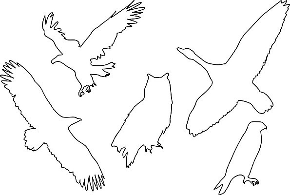 EPS 해외이미지 동물 디자인 실루엣 야생동물 일러스트 자연 조류 오리 동물원 그래픽 검은색 흰색 수집 심볼 사파리 독수리 육식동물 부엉이 거위 고립 동물상 엘리먼트 해외202004 해외일러스트 컬러 촬영기법 조형물 생태계 파일형식 벡터 이미지허브