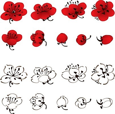 EPS 해외이미지 식물 디자인 꽃 잎 꽃무늬 일러스트 자연 빨간색 일본 중국 봄 벚꽃 흰색 우아함 스타일 해외202004 해외일러스트 계절 아시아 컬러 컨셉 무늬 생태계 파일형식 벡터 이미지허브