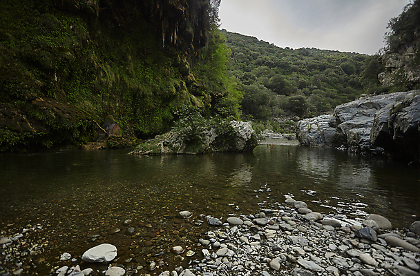포토 JPG 해외이미지 나무 호수 모래 자연 산 풍경 사람없음 물 여름 관광지 강 봄 이탈리아 흐름 달콤 암초 아이비 내추럴 해외202004 해외포토 자연요소 식물 계절 유럽 여행 컨셉 맛 생태계 파일형식 이미지허브