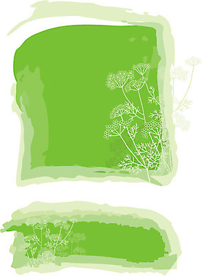 EPS 해외이미지 모양 식물 디자인 꽃 실루엣 백그라운드 잎 크리스마스 일러스트 자연 프레임 건강 요리 치료 초록색 컬러풀 약 신선 약초 허브 순수 에코 유기농 생태계 아로마테라피 테라피 내추럴 고립 딜 백리향 생태학 오레가노 치료제 해외202004 해외일러스트 웰빙 교육 기념일 컬러 컨셉 의학 촬영기법 뷰티 환경 풀_식물 파일형식 벡터 이미지허브