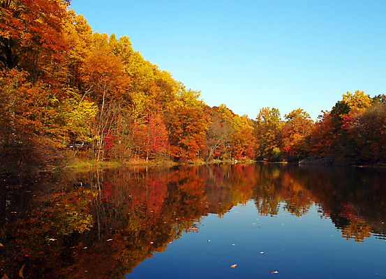 포토 JPG 해외이미지 나무 계절 공원 도로 호수 여행 오렌지 자연 하늘 산 따뜻함 풍경 사람없음 야외 빨간색 초록색 노란색 화목 가을 신선 숲 내추럴 떠남 해외202004 해외포토 식물 공공시설 길 컬러 컨셉 과일 교통시설 모션 생태계 파일형식 이미지허브