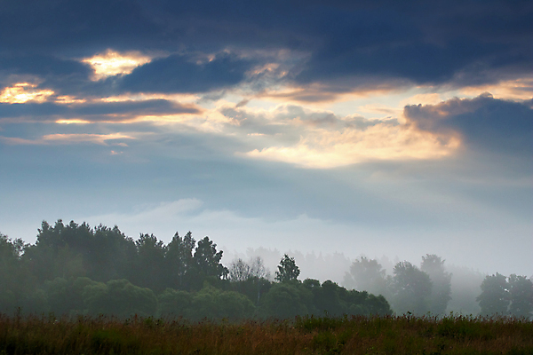 포토 JPG 해외이미지 나무 구름 계절 여행 백그라운드 밭 농업 자연 하늘 휴가 파노라마 옥수수 풍경 사람없음 야외 목재 초록색 여름 파란색 컬러풀 계곡 맑음 안개 가을 시골 오픈 숲 낟알 땅 시리얼 라트비아 수평선 해외202004 해외포토 자연요소 식물 산업 음식 컬러 재료 날씨 곡류 촬영기법 북유럽 생태계 파일형식 이미지허브