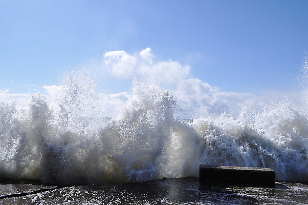 포토 JPG 해외이미지 물결 파도 바다 백그라운드 모션 자연 조류 표면 기술 안테나 풍경 사람없음 야외 물 여름 파란색 햇빛 어둠 활발 거품 흐름 흰색 거친 액체 서핑 떨어짐 지중해 속도 하와이 장면 분무기 용암 폭풍 S 내추럴 깊이 자취 터키석 효과 해외202004 해외포토 자연요소 동물 알파벳 계절 컬러 컨셉 통신 날씨 태양 미국 수상스포츠 보석 생태계 파일형식 이미지허브