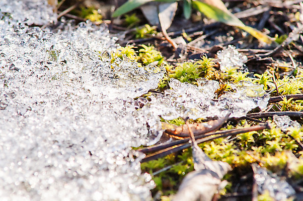 포토 JPG 해외이미지 식물 야생동물 겨울 모션 자연 하늘 표면 추상 이끼 사람없음 야외 목재 가로 빨간색 초록색 물 빛 태양 얼음 침묵 봄 폭포 젖음 흐름 추위 성장 액체 개울 떨어짐 매끈함 숲 북극 장면 내추럴 생태학 엘리먼트 해외202004 해외포토 자연요소 나무 동물 계절 교육 컬러 컨셉 무늬 재료 강 소리 감각 극지방 생태계 파일형식 이미지허브