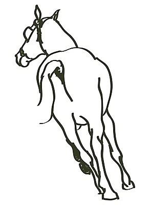 EPS 해외이미지 모양 동물 디자인 실루엣 스포츠 일러스트 공 포유류 자연 휴가 새로움 동물원 사랑 그래픽 반려동물 세트 농장 파티 머리 점프 중국 힘 자유 승마 승차 스케치 연도 심볼 사인 속도 윤곽 갈기 기수 망아지 고립 스타일 해외202004 해외일러스트 감정 아시아 새끼 컨셉 농업 모션 촬영기법 미술 이벤트 신체부위 말_동물 생태계 파일형식 벡터 이미지허브