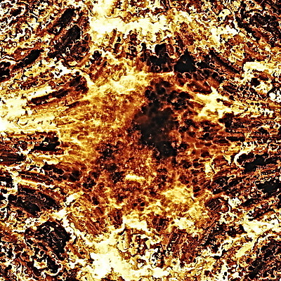 포토 JPG 해외이미지 디자인 오렌지 일러스트 벽지 불 추상 사람없음 그래픽 3D 뜨거움 폭발 질감 매움 만들기 연소 힘찬 해외202004 해외포토 자연요소 컨셉 무늬 과일 모션 맛 디지털합성 파일형식 이미지허브