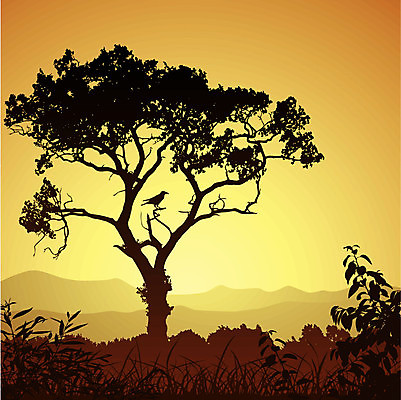 EPS 해외이미지 나무 실루엣 일러스트 조류 풍경 나뭇가지 시골 숲 해외202004 해외일러스트 식물 동물 촬영기법 파일형식 벡터 이미지허브