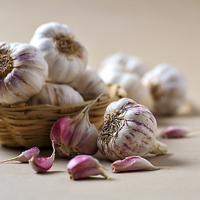 포토 JPG 해외이미지 음식 백그라운드 농업 다이어트 채소 재료 전구 부분 자연 양파 건강 마늘 요리 사람없음 갈색 쌓기 주방 식사 침묵 수확 껍질 신선 양념 조미료 그룹 맛 먹기 허브 향신료 오브젝트 유기농 매움 날것 냄새 향료 향 내추럴 숙성 채식주의자 해외202004 해외포토 식물 웰빙 산업 컬러 컨셉 모션 소리 생태계 채식 향기 향미료 파일형식 이미지허브