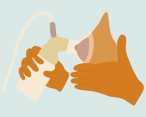 EPS 해외이미지 캐릭터 여자 음료 어린이 음식 신체 가방 일러스트 장신구 가족 엄마 친절 건강 사랑 사람 장비 우유 아기 신생아 잡기 오르간 플랫 가슴 만화 순수 오브젝트 펌프 돌봄 수유 엘리먼트 자동 조작 어머니의날 해외202004 해외일러스트 일러캐릭터 잡화 기념일 감정 컨셉 관계 모션 유제품 신체부위 건반악기 미국문화 파일형식 벡터 이미지허브