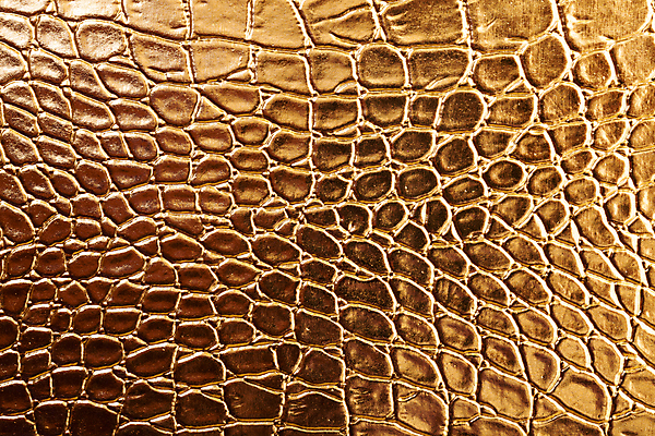 포토 JPG 해외이미지 동물 디자인 옷 백그라운드 패턴 가방 표면 추상 프레임 미술 사람없음 반사 직물 황금 고급 가죽 피부 묘사 질감 악어 소가죽 인공 해외202004 해외포토 잡화 컨셉 무늬 파충류 문화예술 신체부위 파일형식 이미지허브