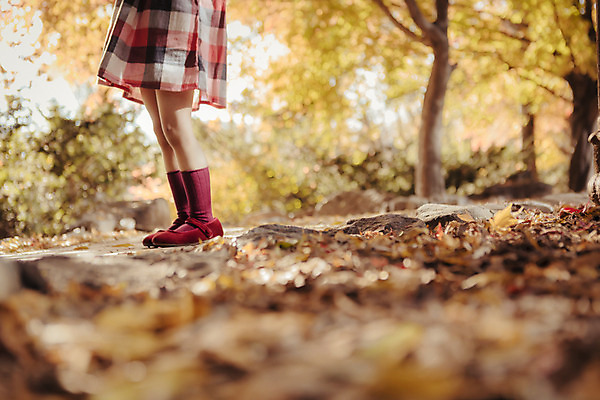 포토 JPG 주간 라이프스타일 계절 여자 어린이라이프 어린이 단풍 낙엽 모션 한국 한명 서기 사람 동양인 야외 옆모습 신체부위 소풍 귀여움 한국인 하반신 가을 다리 순수 수목원 경기도 천진난만 파주 여자만 여자한명만 어린이만 소녀만 소녀한명만 국내포토 자연요소 1 아시아 뷰포인트 컨셉 잎 인종 생활 야외활동 파일형식