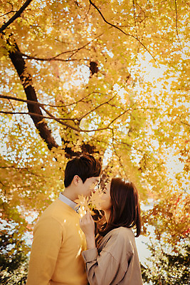 포토 JPG 주간 나무 식물 라이프스타일 부부 계절 여자 남자 단풍 데이트 모션 단풍나무 휴식 키스 한국 서기 들기 사람 동양인 상반신 성인 야외 두명 옆모습 30대 마주보기 산책 한국인 가을 가로수 수목원 경기도 부부라이프 파주 장년만 성인만 국내포토 자연요소 커플 아시아 뷰포인트 컨셉 잎 인종 생활 장년 애정표현 파일형식