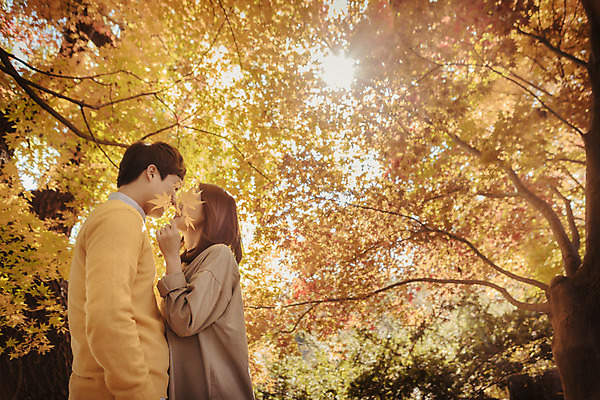 포토 JPG 주간 식물 라이프스타일 부부 계절 여자 남자 단풍 데이트 모션 단풍나무 휴식 나뭇잎 키스 한국 서기 들기 사람 동양인 상반신 성인 야외 두명 옆모습 30대 마주보기 산책 한국인 가을 가로수 수목원 경기도 부부라이프 파주 장년만 성인만 국내포토 자연요소 나무 커플 아시아 뷰포인트 컨셉 잎 인종 생활 장년 애정표현 파일형식