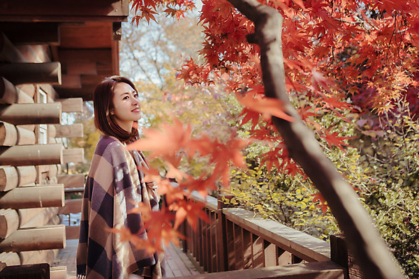 포토 JPG 주간 나무 식물 우먼라이프 라이프스타일 응시 계절 여자 단풍 난간 모션 단풍나무 휴식 한국 한명 서기 사람 동양인 상반신 성인 야외 옆모습 30대 한국인 가을 담요 펜션 덮기 수목원 경기도 파주 여자만 여자한명만 성인여자만 성인한명만 성인여자한명만 장년만 장년여자만 장년여자한명만 성인만 국내포토 자연요소 1 시선 아시아 뷰포인트 컨셉 잎 숙소 인종 생활 장년 파일형식