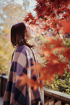 포토 JPG 주간 나무 식물 우먼라이프 라이프스타일 계절 여자 단풍 난간 모션 단풍나무 휴식 한국 한명 서기 사람 동양인 상반신 성인 야외 옆모습 30대 눈감음 한국인 가을 담요 펜션 덮기 수목원 경기도 파주 여자만 여자한명만 성인여자만 성인한명만 성인여자한명만 장년만 장년여자만 장년여자한명만 성인만 국내포토 자연요소 1 아시아 뷰포인트 컨셉 잎 숙소 인종 생활 장년 파일형식