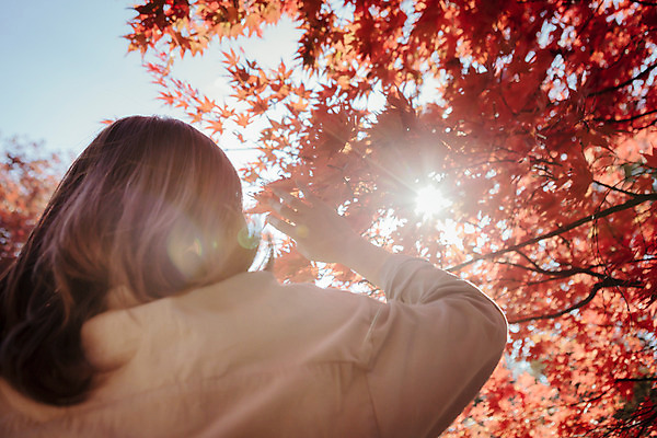 포토 JPG 주간 나무 식물 우먼라이프 라이프스타일 계절 여자 단풍 모션 하늘 단풍나무 휴식 한국 한명 서기 사람 동양인 손짓 상반신 성인 야외 뒷모습 30대 햇빛 한국인 가을 가림 수목원 경기도 파주 여자만 여자한명만 성인여자만 성인한명만 성인여자한명만 장년만 장년여자만 장년여자한명만 성인만 국내포토 자연요소 1 아시아 뷰포인트 컨셉 잎 인종 생활 장년 태양 파일형식