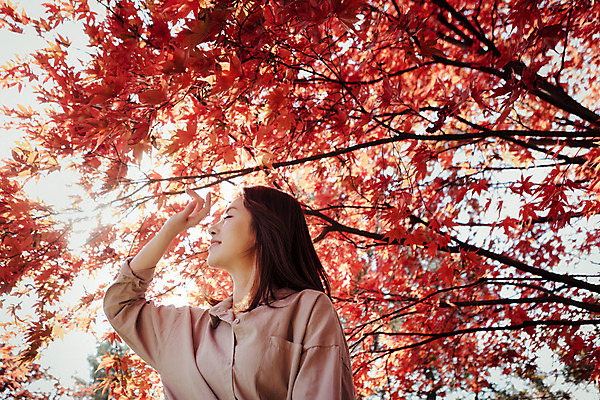 포토 JPG 주간 나무 식물 우먼라이프 라이프스타일 계절 여자 단풍 모션 단풍나무 휴식 한국 한명 서기 사람 동양인 손짓 상반신 성인 야외 앞모습 30대 햇빛 눈감음 한국인 가을 가림 수목원 경기도 파주 여자만 여자한명만 성인여자만 성인한명만 성인여자한명만 장년만 장년여자만 장년여자한명만 성인만 국내포토 자연요소 1 아시아 뷰포인트 컨셉 잎 인종 생활 장년 태양 파일형식