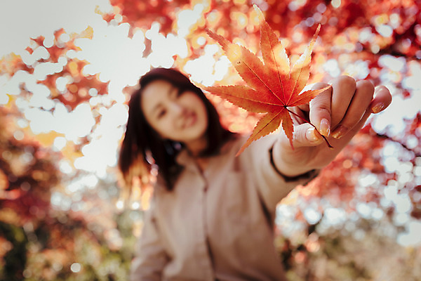 포토 JPG 주간 식물 우먼라이프 라이프스타일 계절 여자 단풍 모션 단풍나무 휴식 한국 한명 미소 들기 사람 동양인 상반신 성인 야외 앞모습 아웃포커스 30대 한국인 가을 수목원 경기도 파주 여자만 여자한명만 성인여자만 성인한명만 성인여자한명만 장년만 장년여자만 장년여자한명만 성인만 국내포토 자연요소 나무 1 아시아 뷰포인트 컨셉 잎 촬영기법 표정 인종 생활 장년 파일형식