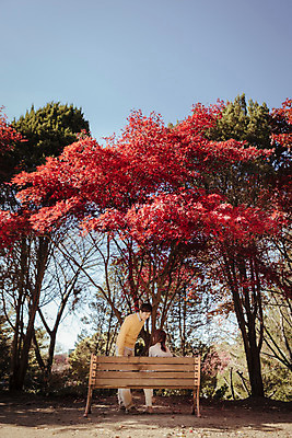 포토 JPG 주간 전신 나무 식물 라이프스타일 부부 계절 여자 남자 단풍 벤치 모션 하늘 단풍나무 휴식 한국 서기 사람 앉기 동양인 성인 야외 두명 앞모습 뒷모습 30대 산책 한국인 가을 수목원 경기도 부부라이프 파주 장년만 성인만 국내포토 자연요소 커플 아시아 뷰포인트 컨셉 잎 의자 인종 생활 장년 파일형식
