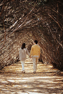 포토 JPG 주간 전신 나무 식물 라이프스타일 부부 계절 여자 남자 모션 한국 사람 동양인 성인 야외 두명 뒷모습 30대 걷기 손잡기 다정 산책 한국인 가을 가로수 수목원 경기도 부부라이프 파주 장년만 성인만 국내포토 자연요소 커플 아시아 뷰포인트 컨셉 휴식 인종 생활 장년 파일형식